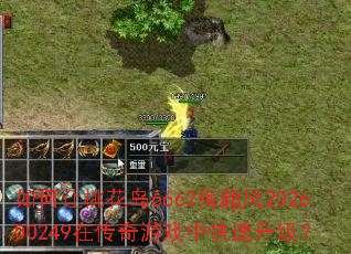 ������һ���6662÷����202600249�ڴ�����Ϸ�п���������