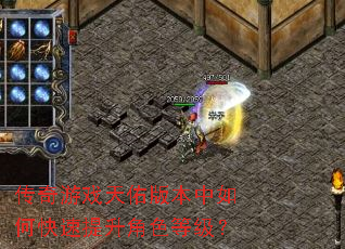 ������Ϸ���Ӱ汾����ο���������ɫ�ȼ���