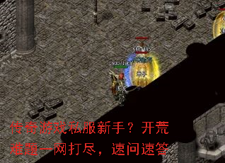 ������Ϸ˽�����֣���������һ���򾡣������ٴ�