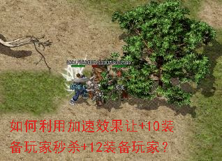 ������ü���Ч����+10װ�������ɱ+12װ����ң�