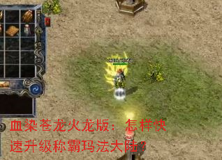 ѪȾ���������棺�������������ư��귨��½��