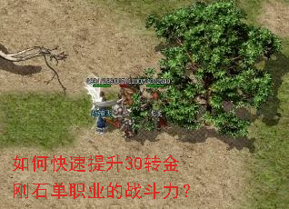 如何快速提升30转金刚石单职业的战斗力? 如何快速提升30转金刚石单职业的战斗力?