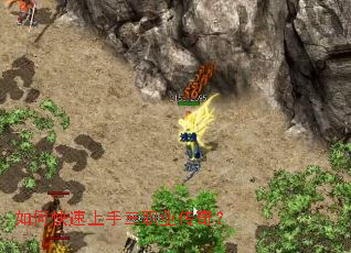 ��ο���������ְҵ���棿