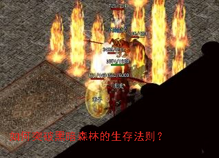 如何突破黑暗森林的生存法则? 如何突破黑暗森林的生存法则?