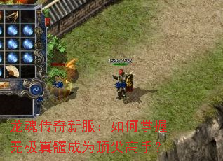 龙魂传奇新服:如何掌握无极真髓成为顶尖高手? 龙魂传奇新服:如何掌握无极真髓成为顶尖高手?