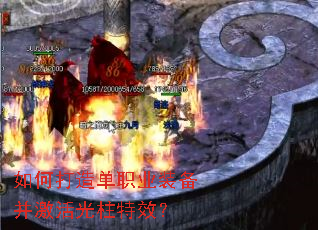 ��δ��쵥ְҵװ�������������Ч��