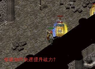 �����ο�������ս����