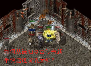 ��δ����ɸ��Ŵ������ֿ��ٽ��׳ɴ���