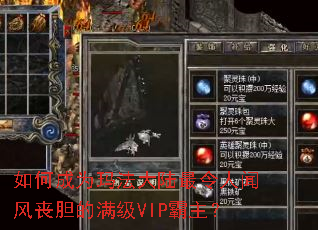 ��γ�Ϊ�귨��½�������ŷ�ɥ��������VIP������