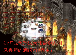 ��γ�Ϊ�귨��½�������ŷ�ɥ��������VIP������