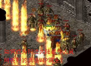 ��γ�Ϊ�귨��½�������ŷ�ɥ��������VIP������