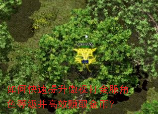 如何快速提升傲视打金服角色等级并高效赚取金币? 如何快速提升傲视打金服角色等级并高效赚取金币?