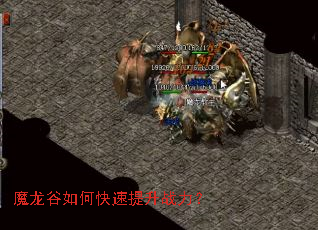 ħ������ο�������ս����