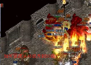 ��ο��ٴ�45������50����