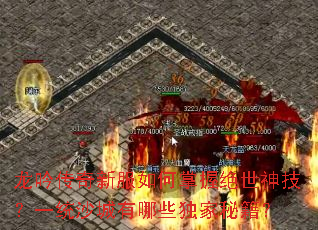 ���������·�������վ����񼼣�һͳɳ������Щ�����ؼ���