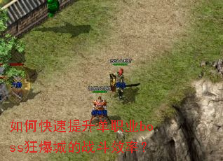 ��ο���������ְҵboss�񱬳ǵ�ս��Ч�ʣ�