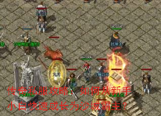 ����˽�����ԣ���δ�����С�׿��ٳɳ�Ϊɳ�ǰ�����