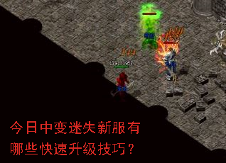 �����б���ʧ�·�����Щ�����������ɣ�