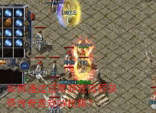 ���ͨ��������Ϸ���̻�ô�����ϷGMȨ�ޣ�