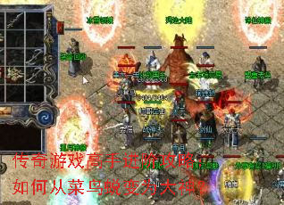 ������Ϸ���ֽ��׹��ԣ���δӲ����ɱ�Ϊ����