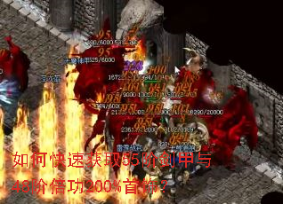 ��ο��ٻ�ȡ55�׽�����48�ױ���200%���Σ�