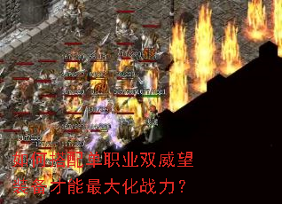 ��δ��䵥ְҵ˫����װ���������ս����