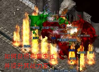 ��λ��������ȸ��������ս������