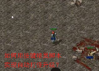 ����ð�������ű�ʵ���Զ����������