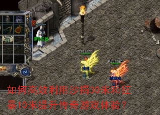 ��θ�Ч����ɳ��30�׺Ϳ�10������������Ϸ���飿