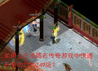 ������������ڴ�����Ϸ�п�������802300249����