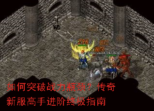 ���ͻ��ս��ƿ���������·����ֽ����ռ�ָ��