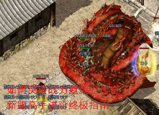 ���ͻ��ս��ƿ���������·����ֽ����ռ�ָ��