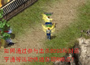 ���ͨ�������ɱBOSS�Ͳ��˺�ͨ�Ȼ���ٻ�ȡRMB�㣿