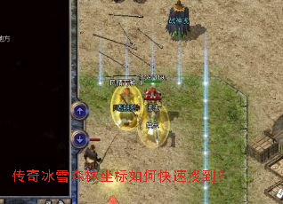 �����ѩɭ��������ο����ҵ���