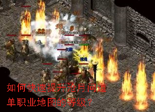 ��ο������������ʵ���ְҵ��ͼ�ĵȼ���