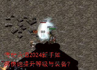 ��������2024������ο��������ȼ���װ����