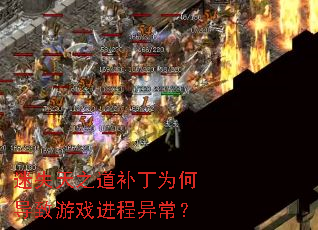 ��ʧ��֮������Ϊ�ε�����Ϸ�����쳣��