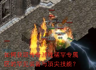 ��λ�ȡ������Ϸϡ��ר�����ĺ���װ���붥�⼼�ܣ�