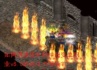 ��ο����������񳬱䵥ְҵv8.0��ս�����ȼ���