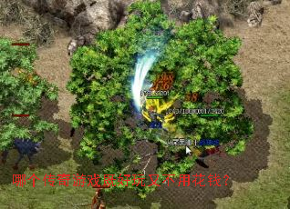 �ĸ�������Ϸ�Ⱥ����ֲ��û�Ǯ��