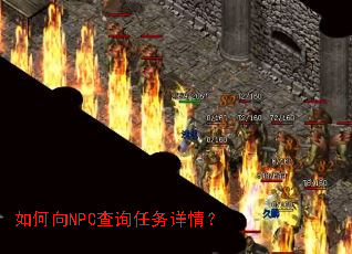 �����NPC��ѯ�������飿