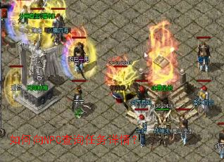 �����NPC��ѯ�������飿