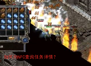 �����NPC��ѯ�������飿