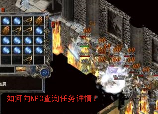 �����NPC��ѯ�������飿