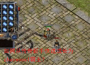 如何从传奇新手快速成长为zhaowoool霸主? 如何从传奇新手快速成长为zhaowoool霸主?