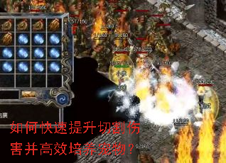 如何快速提升切割伤害并高效培养宠物? 如何快速提升切割伤害并高效培养宠物?