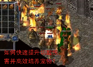 如何快速提升切割伤害并高效培养宠物? 如何快速提升切割伤害并高效培养宠物?