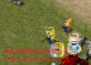 迷失单职业攻击速度为零,如何快速提升攻击速度? 迷失单职业攻击速度为零,如何快速提升攻击速度?