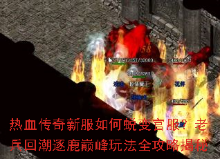 ��Ѫ�����·�����ɱ�ٷ����ϱ��س���¹�۷��淨ȫ���Խ���