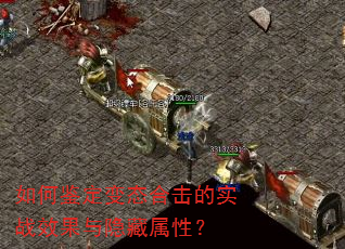 如何鉴定变态合击的实战效果与隐藏属性? 如何鉴定变态合击的实战效果与隐藏属性?